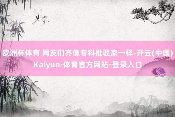 欧洲杯体育 网友们齐像专科批驳家一样-开云(中国)Kaiyun·体育官方网站-登录入口