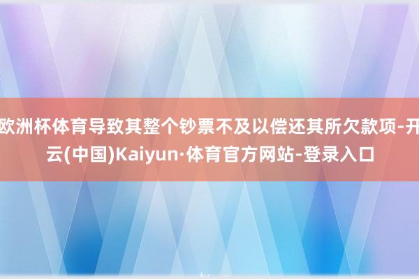 欧洲杯体育导致其整个钞票不及以偿还其所欠款项-开云(中国)Kaiyun·体育官方网站-登录入口