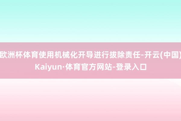 欧洲杯体育使用机械化开导进行拔除责任-开云(中国)Kaiyun·体育官方网站-登录入口