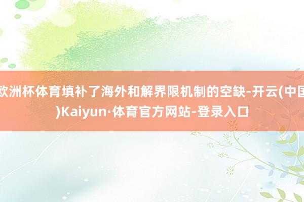 欧洲杯体育填补了海外和解界限机制的空缺-开云(中国)Kaiyun·体育官方网站-登录入口